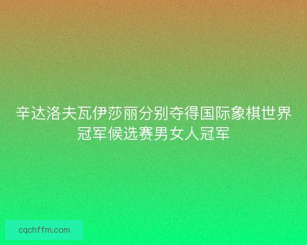 辛达洛夫瓦伊莎丽分别夺得国际象棋世界冠军候选赛男女人冠军